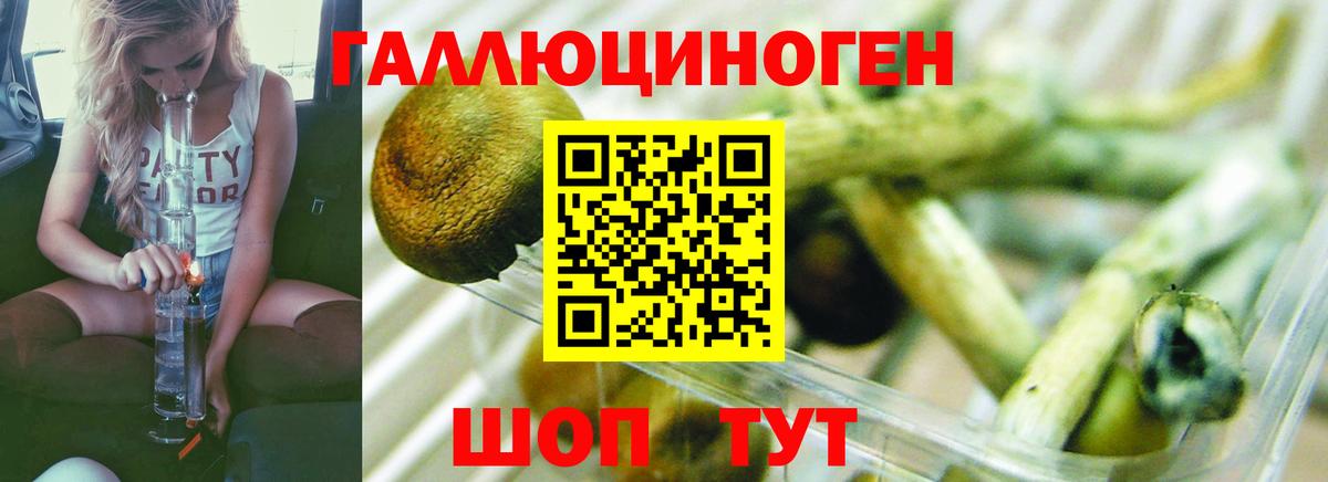 Псилоцибиновые грибы MAGIC MUSHROOMS Лысьва